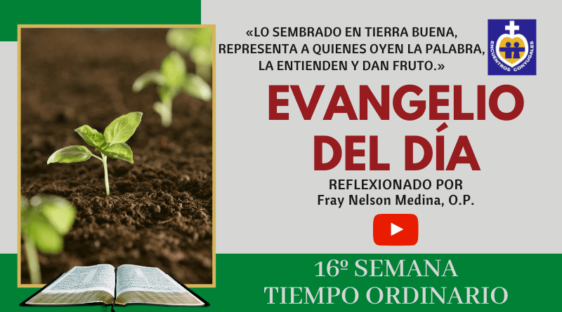 reflexión evangelio 24 de julio de 2020 - 16º semana - tiempo ordinario - ciclo A
