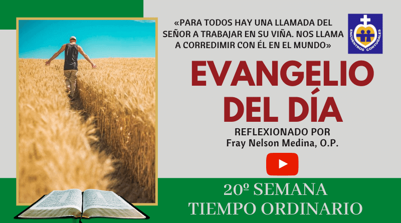 reflexión evangelio 19 de agosto - 20º semana - tiempo ordinario - año par