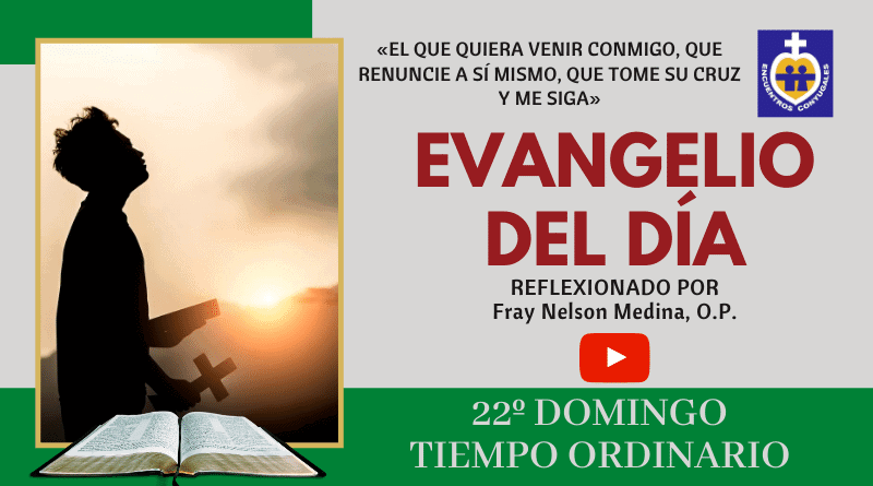 reflexión evangelio vigésimo segundo domingo - tiempo ordinario - ciclo A