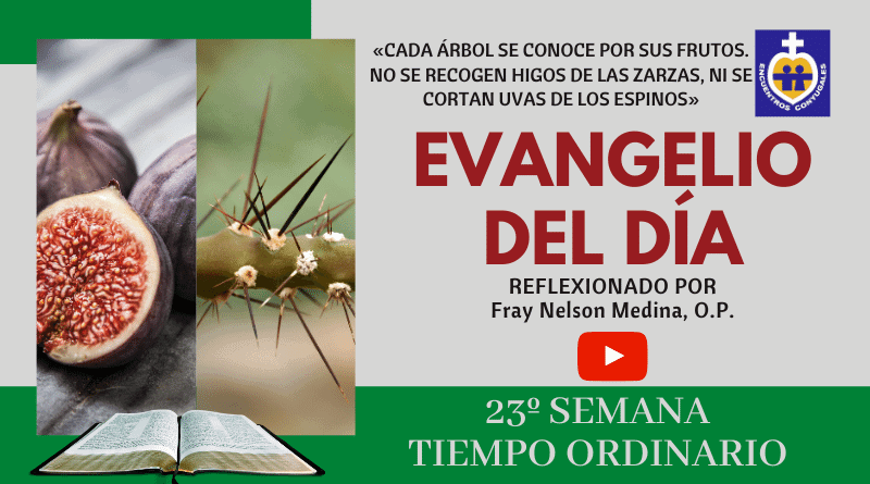 reflexión evangelio 12 de septiembre - 23º semana - tiempo ordinario - año par