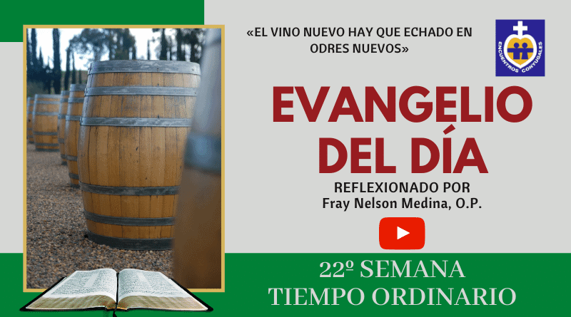 reflexión evangelio 4 de septiembre - 22º semana - tiempo ordinario - año par