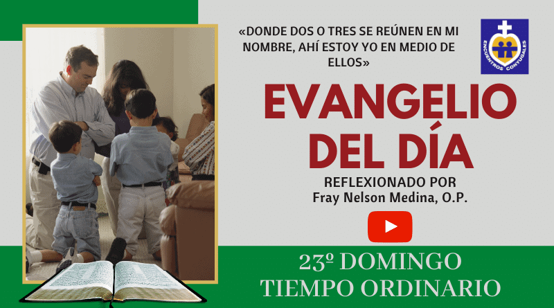 reflexión evangelio vigésimo tercer domingo - tiempo ordinario - ciclo A