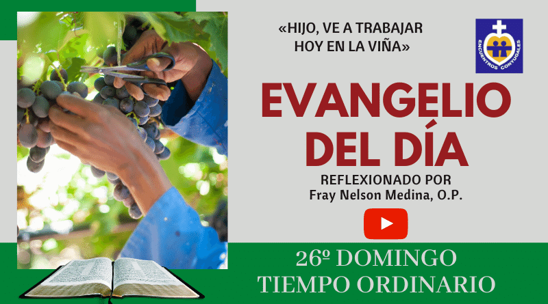 Reflexión Evangelio vigésimo sexto domingo | Tiempo Ordinario - Ciclo A