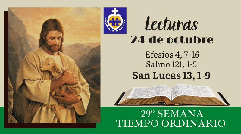 Lecturas sábado 24 de octubre | 29º Semana | Tiempo Ordinario – Año Par