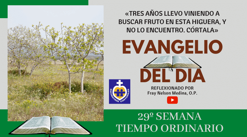 Reflexión Evangelio 24 de octubre | 29º Semana | T. Ordinario – Año Par