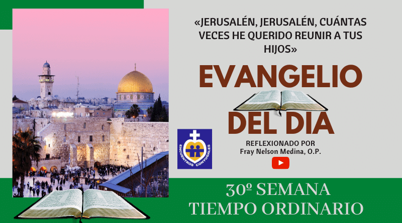 Reflexión Evangelio 29 de octubre | 30º Semana | T. Ordinario – Año Par