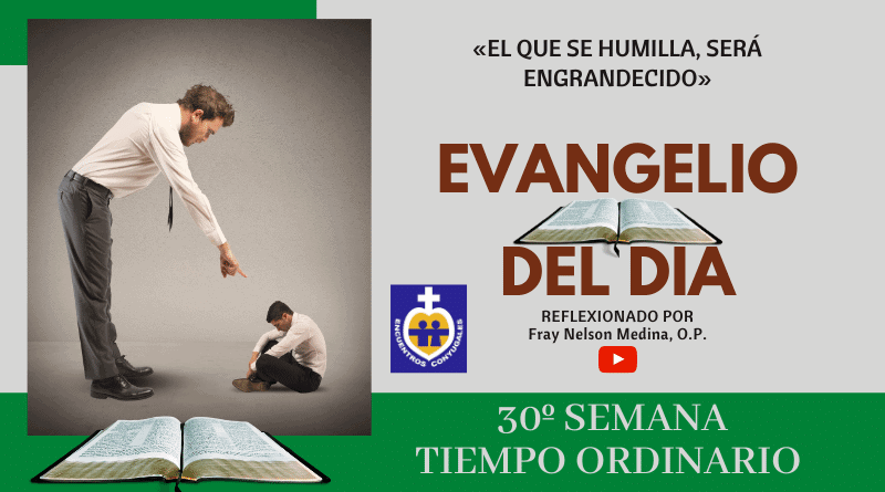 Reflexión Evangelio 31 de octubre | 30º Semana | T. Ordinario – Año Par