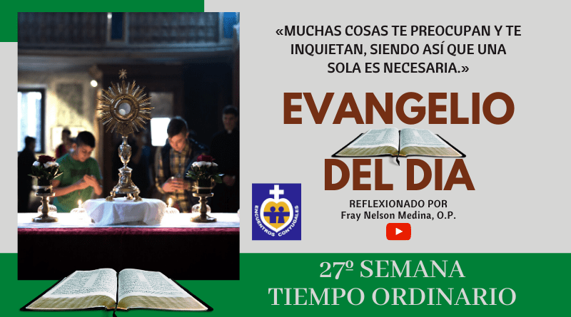 Reflexión Evangelio 6 de octubre | 27º Semana | Tiempo Ordinario