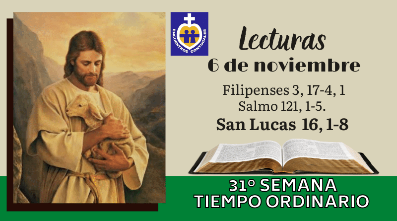 Lecturas viernes 6 de noviembre | 31º Semana | T. Ordinario – Año Par