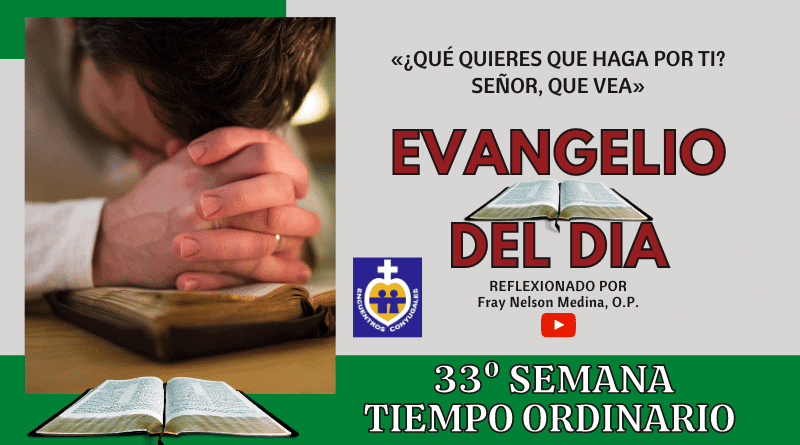 Reflexión Evangelio 16 de noviembre | 33º Semana | T. Ordinario - Año Par