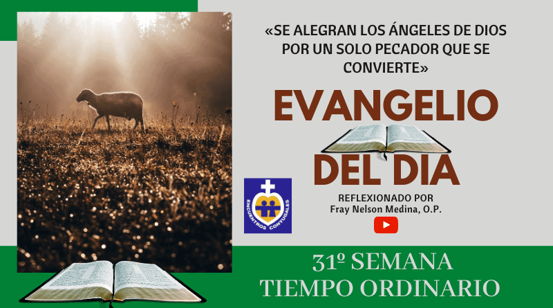 Reflexión Evangelio 5 de noviembre | 31º Semana | T. Ordinario – Año Par