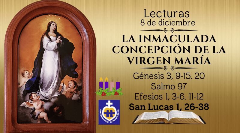Lecturas martes 8 de diciembre | La Inmaculada Concepción de María