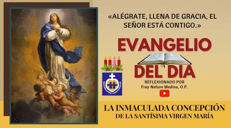 Reflexión Evangelio 8 de diciembre | La Inmaculada Concepción de María