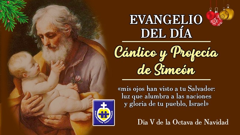 Reflexión Evangelio 29 de diciembre | Día V de la Octava de Navidad