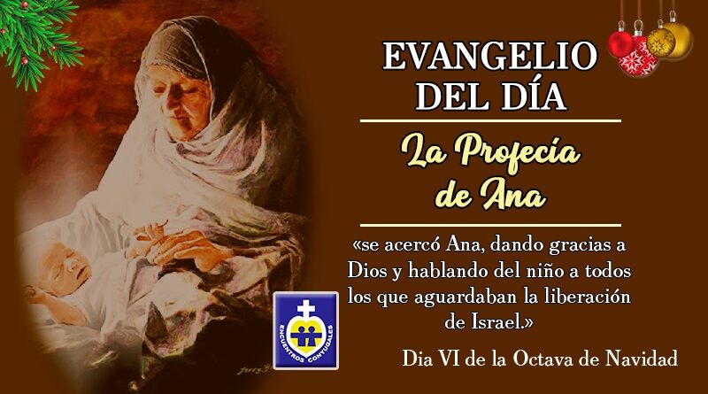 Reflexión Evangelio 30 de diciembre | Día VI dentro de la Octava de Navidad