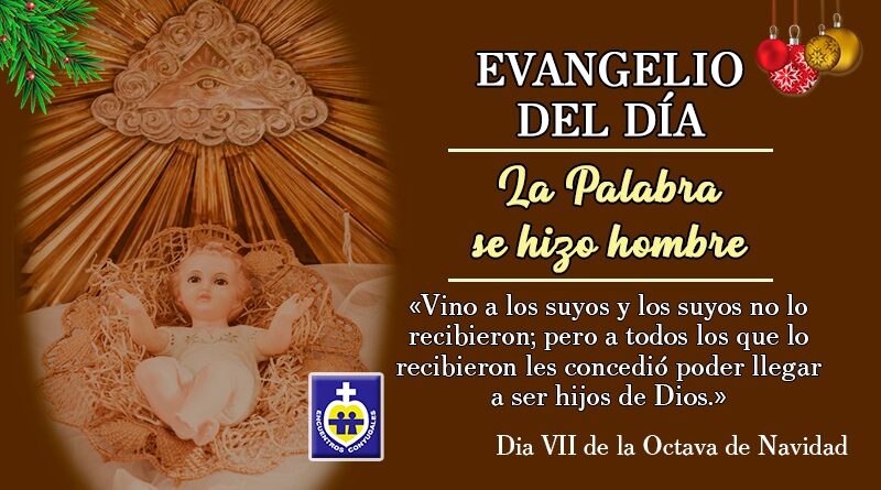 Reflexión Evangelio 31 de diciembre | Día VII de la Octava de Navidad