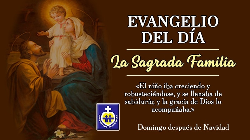 Domingo de La Sagrada Familia | Fiesta | Reflexión 27 diciembre - Ciclo B