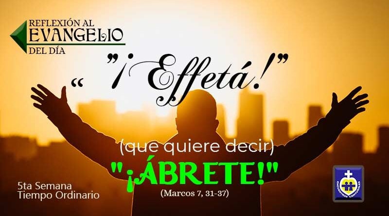 reflexion-evangelio-12-de-febrero