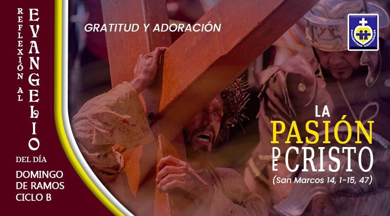 domingo-de-ramos-reflexion-a-la-pasion-del-senor