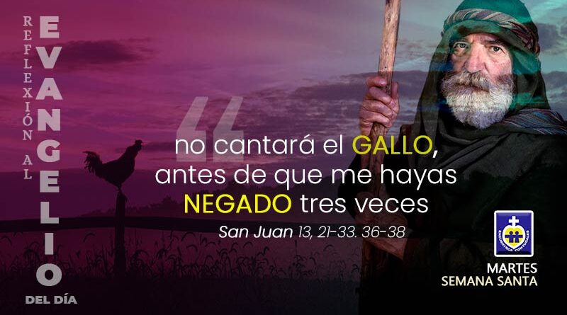 Martes Santo | Reflexión Evangelio