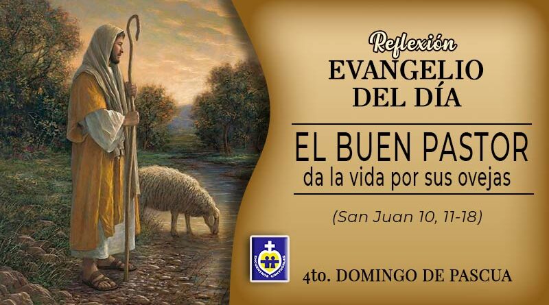 el-buen-pastor-iv-domingo-de-pascua-reflexion