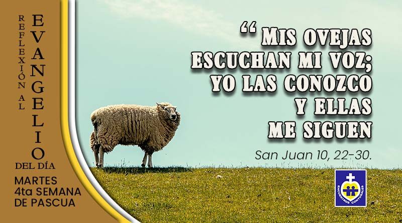 martes-cuarta-semana-de-pascua-reflexion
