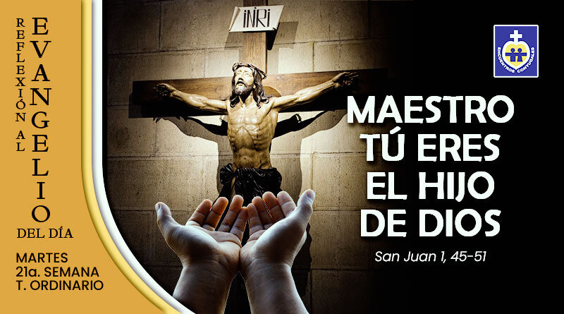 reflexion-martes-24-de-agosto-san-bartolome